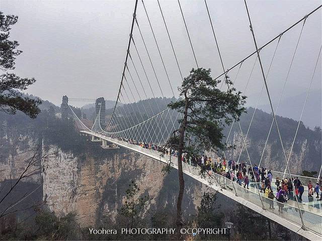张家界大峡谷景区(玻璃桥)