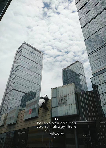 比较著名的建筑物,那只趴在楼上的熊猫,看见了么_成都ifs国际金融中心
