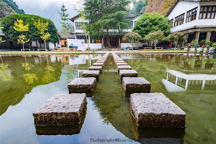 楠溪若舍民宿"的评论图片