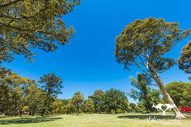 墨尔本皇家植物园