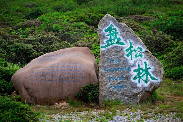 格萨拉生态旅游区