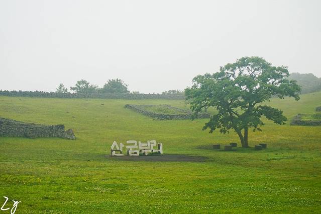济源本家-济源参鸡汤