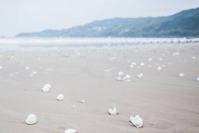 苍南县渔寮旅游区-渔寮大沙滩