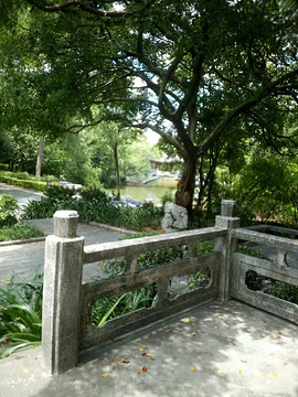 柳侯公园旅游景点攻略图