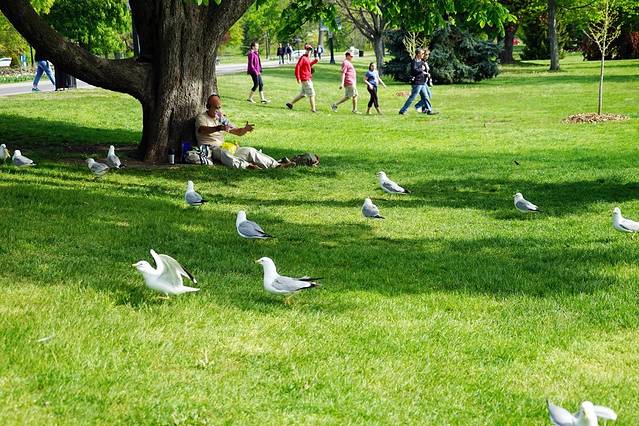 维多利亚女王公园