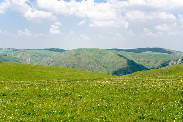 黄花沟草原旅游度假区