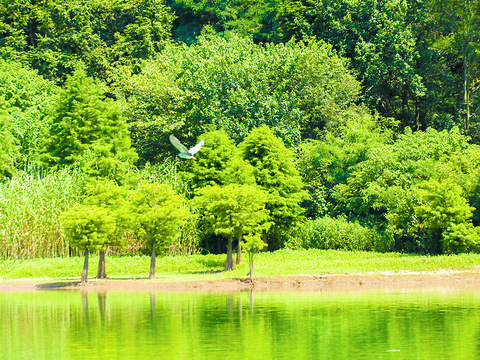 金牛湖旅游景点图片