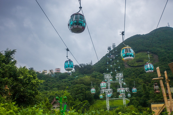 "可惜雨天没有拍照，晴天一定超级棒棒哒！乘缆车时间不短，一路风景还不错_香港海洋公园缆车"的评论图片