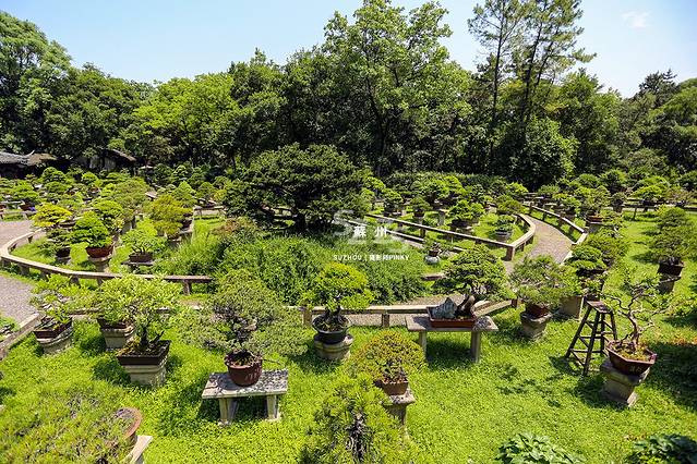 虎丘山风景名胜区