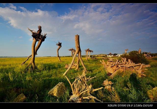上都湖原生态旅游牧场