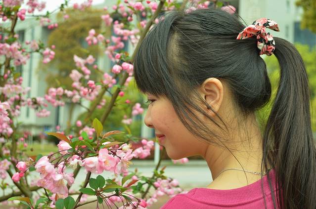 中南大学(岳麓山校区)