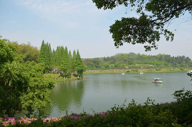 龙背山森林公园