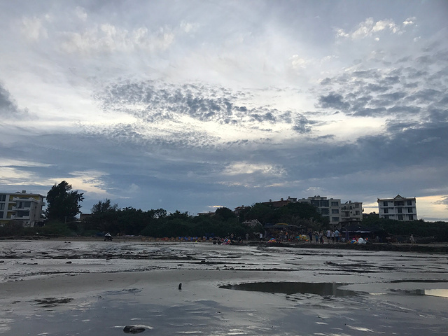 已经有邮票啦。一路开车回去拍拍自己的臭脚裙