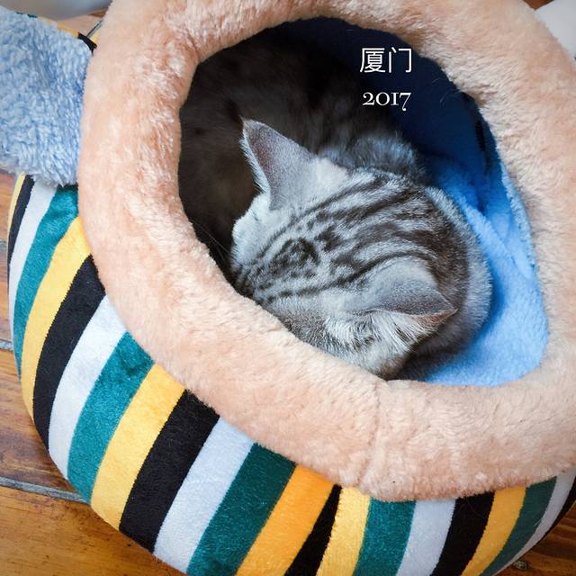 八婆婆烧仙草(大润发店)