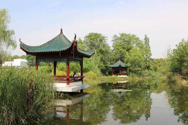 琴台小森林公园