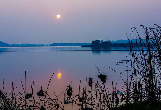 武汉后官湖国家湿地公园