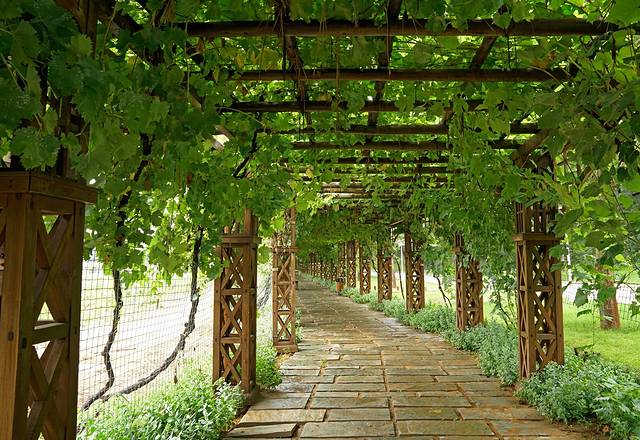 张裕爱斐堡酒庄