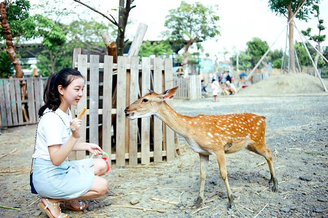 垦丁鹿境梅花鹿生态园区