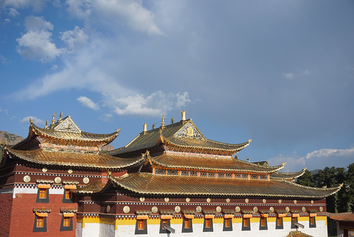 我对老爸说,咱这是出来洗肺了啊!) 郎木寺 特别