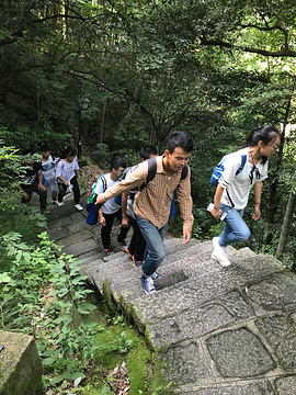 半山寺旅游景点攻略图