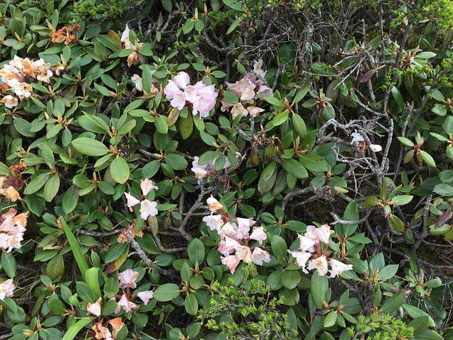 太白山国家森林公园-大文公庙