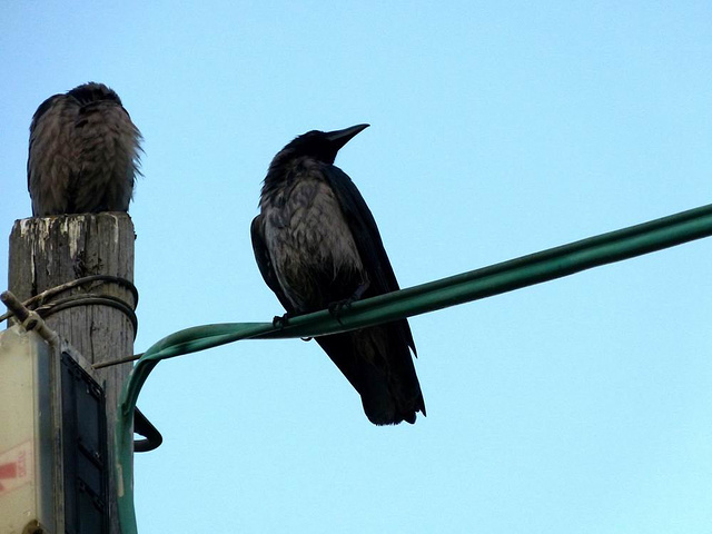2018提比利亚位于加利利海西岸,景色优美,这里