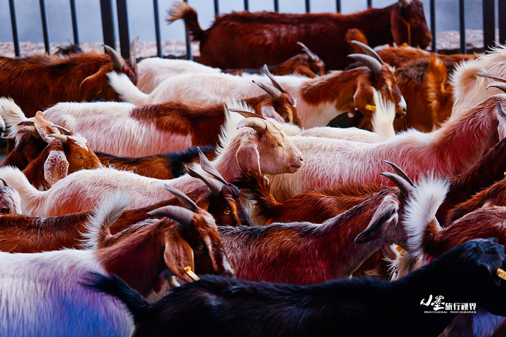 2017《丽江恋歌》是丽江宋城的另一个大型实