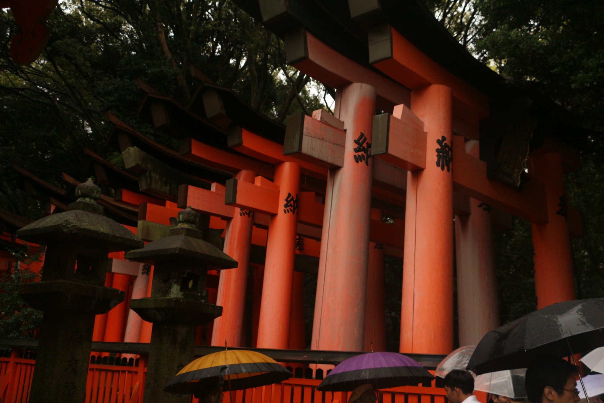 关东关西 一人暴走 九天没玩够 京都旅游攻略 游记 去哪儿攻略 关东关西 一人暴走 九天没玩够 京都旅游攻略 游记 去哪儿攻略