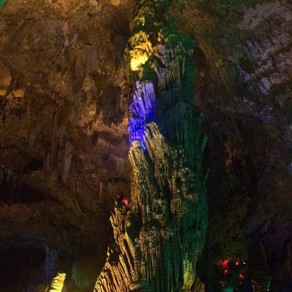 049579fde38655b5.jpg_600x600x70_ec1f5d6d.jpg