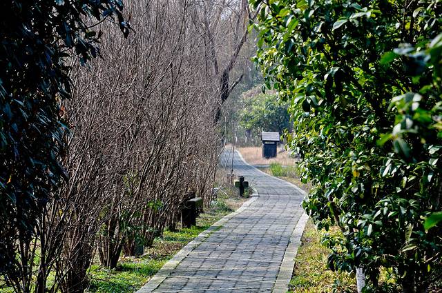 苏州太湖国家湿地公园