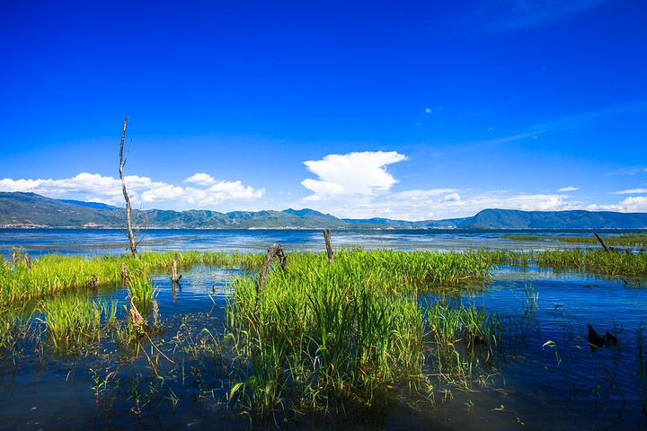 海舌公园海舌公园真的好舒服呀每一次来都会有不同风景大理真是一个