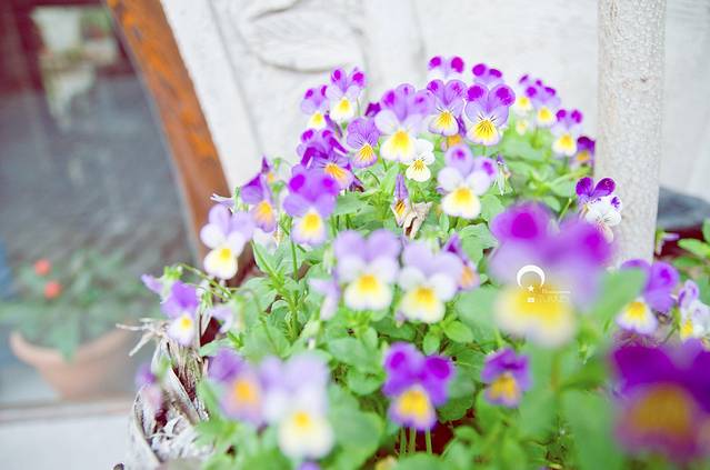 格雷梅日落观景台