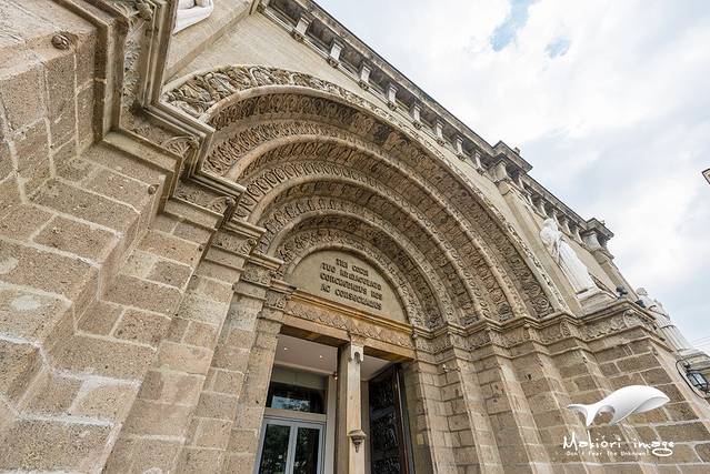 圣母无原罪圣殿主教座堂