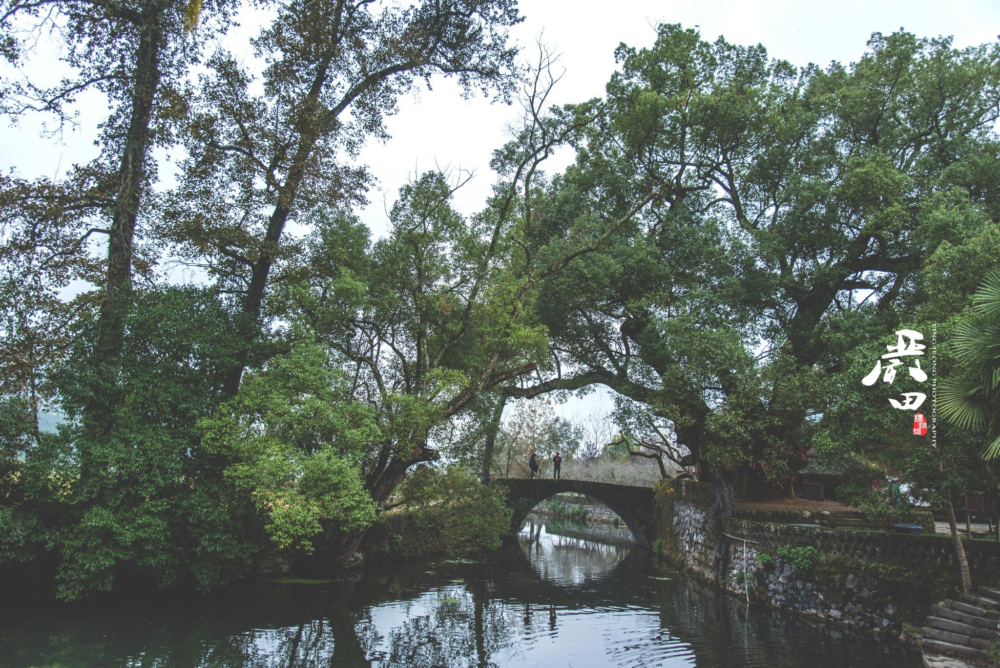 2019婺源严田游玩攻略,严田村又是不同的景色,小桥.【去哪儿攻略】