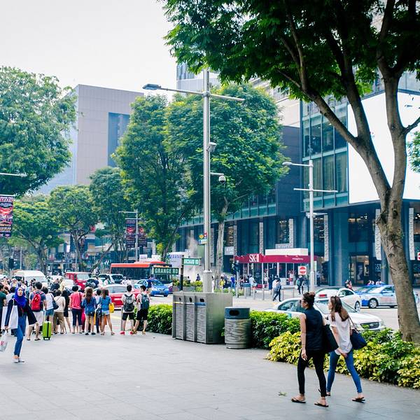 新加坡旅游景点_新加坡旅游人均(2)