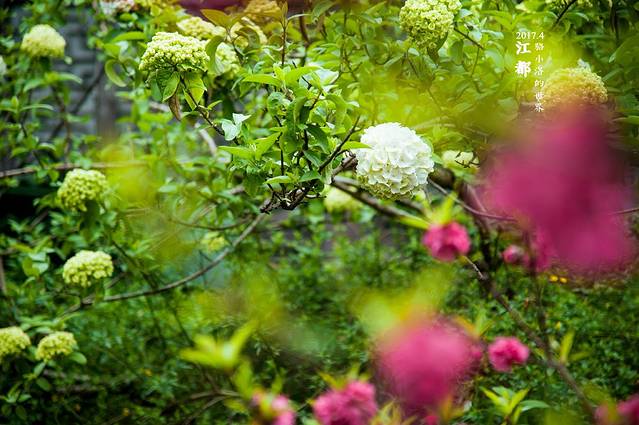 扬州大学(荷花池校区)