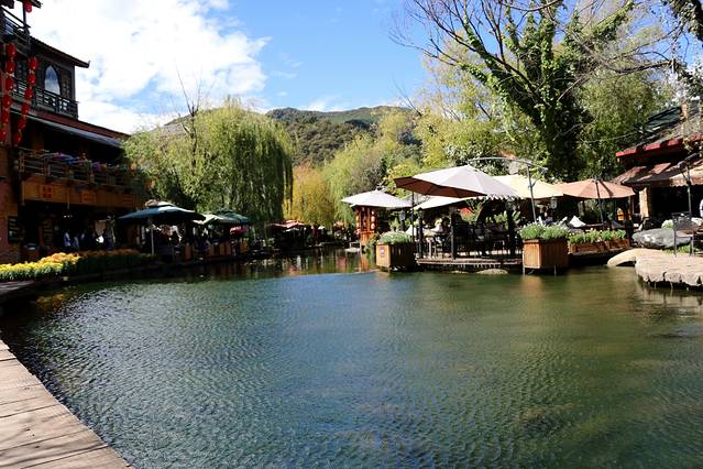 飞花触水音乐现场