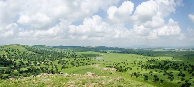 科尔沁国家级自然保护区