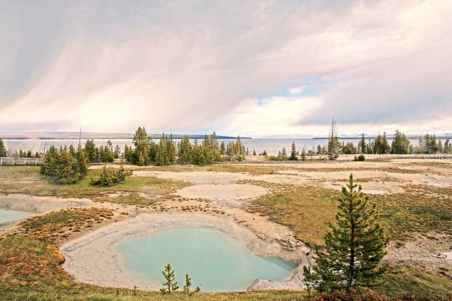 黄石公园间歇喷泉区