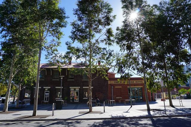 阿德莱德唐人街