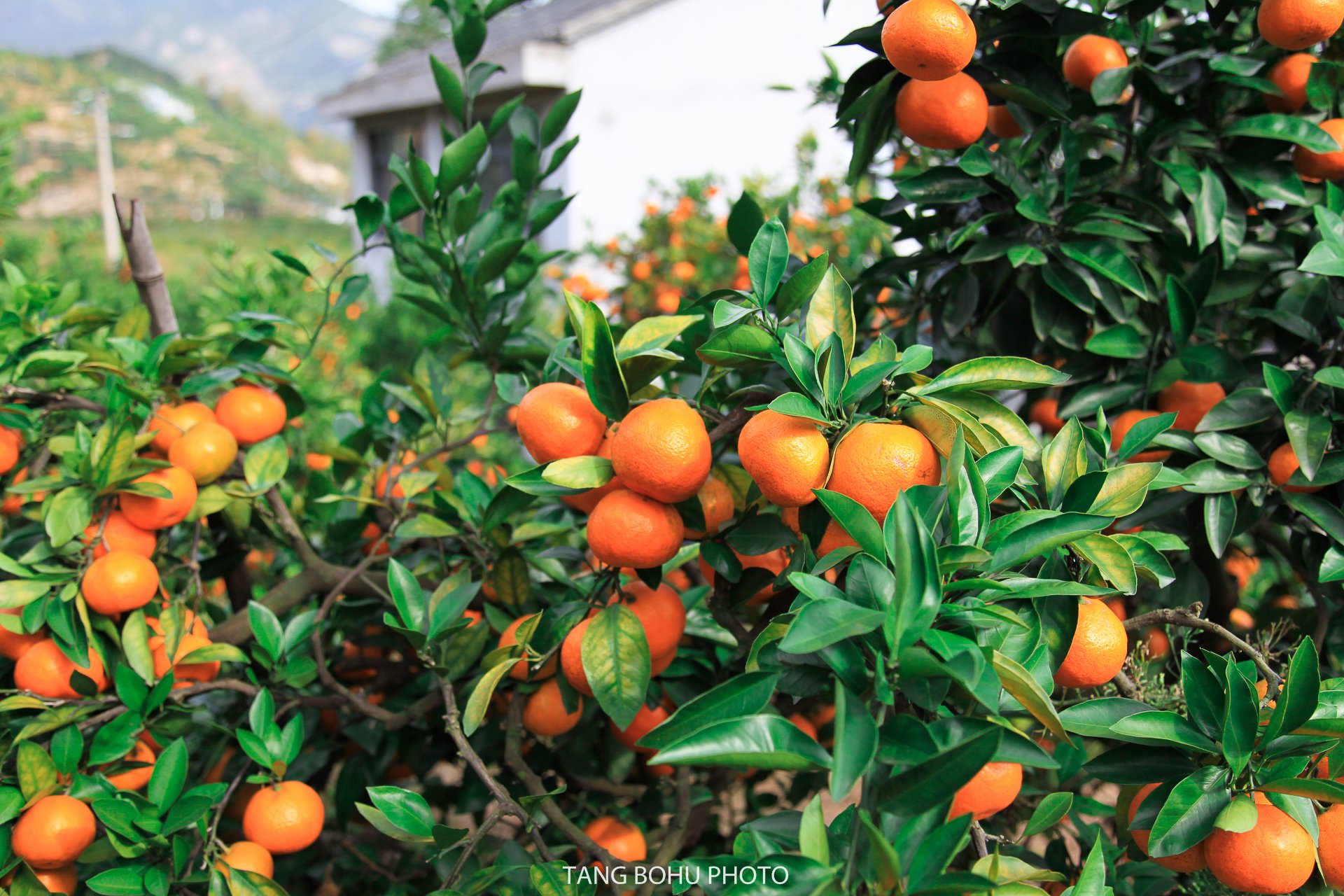 但爬完整个江南长城也会让你够累的哦爬上最高点