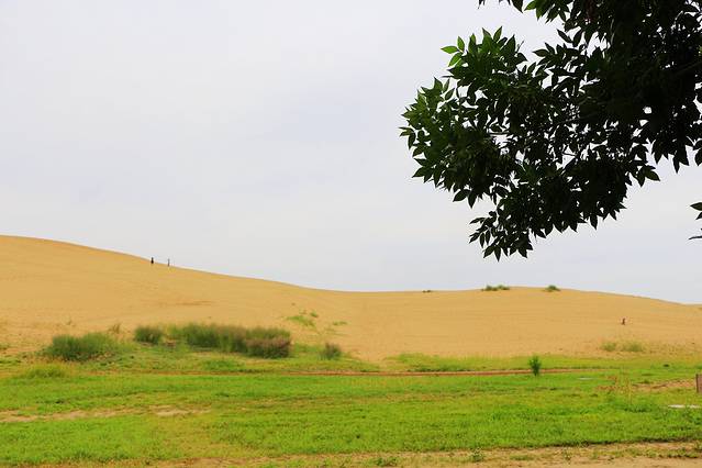 宁夏湿地博物馆