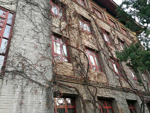 陕西师范大学(雁塔校区)-牡丹园