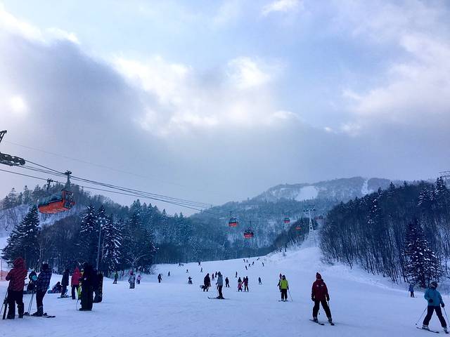 札幌国际滑雪场