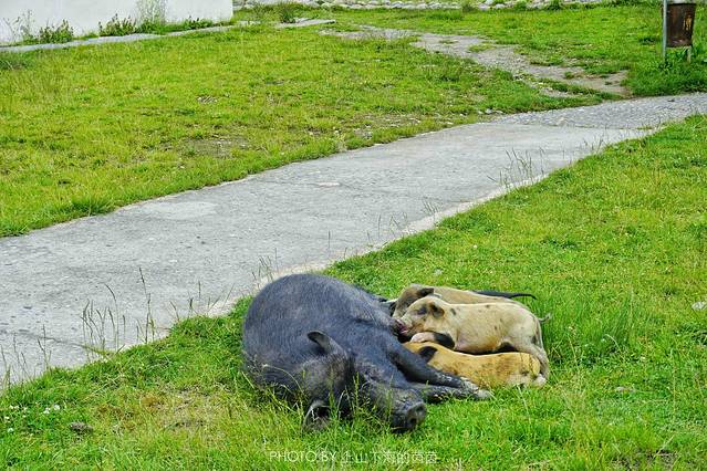 林芝自然博物馆