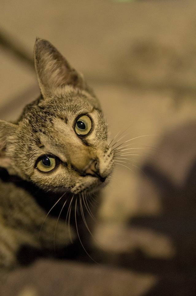 天下客海鲜楼（中国福州）