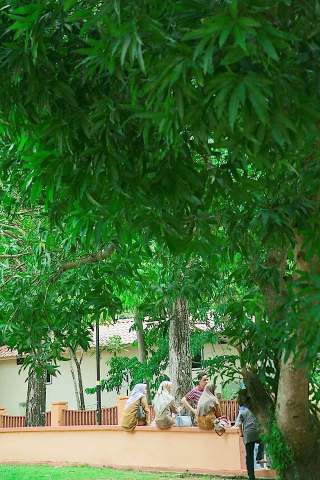 兰卡威空中缆车