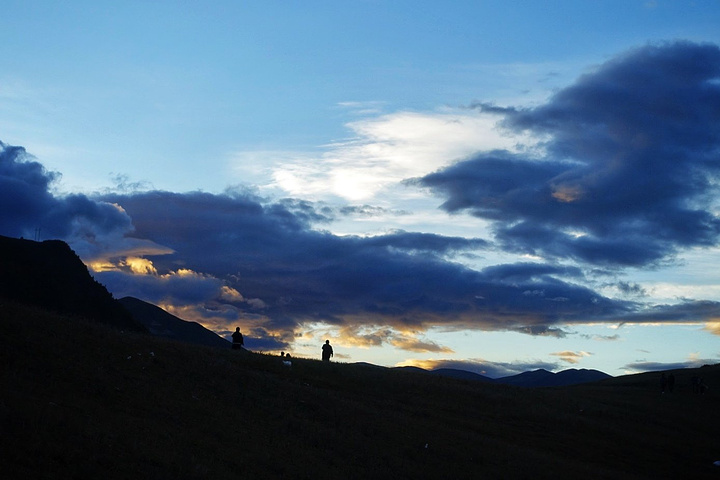 白杨树挺拔矗立,牛羊在安详地吃草,阳光从云缝