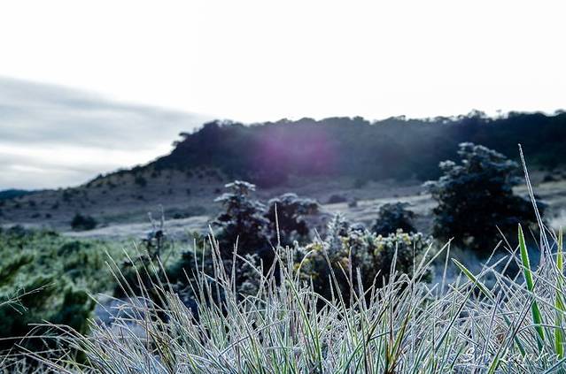 Great World's End Drop