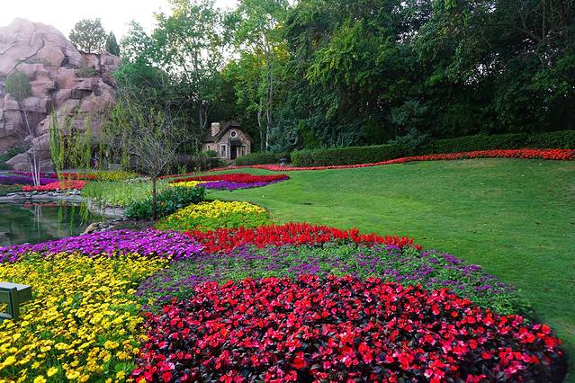 未来世界Divequest